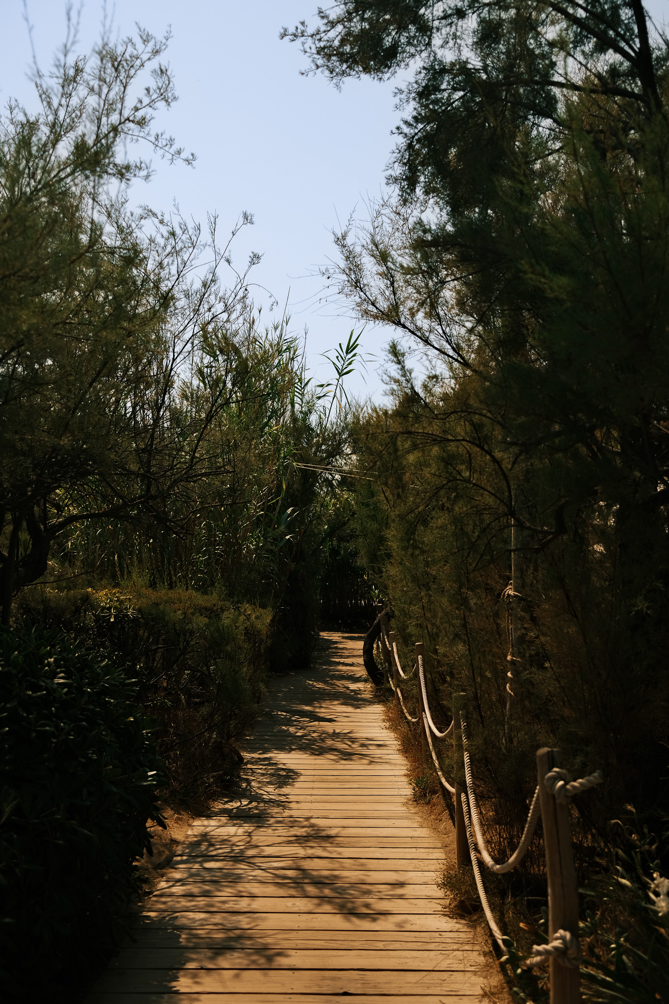 Club 55 by christofphr