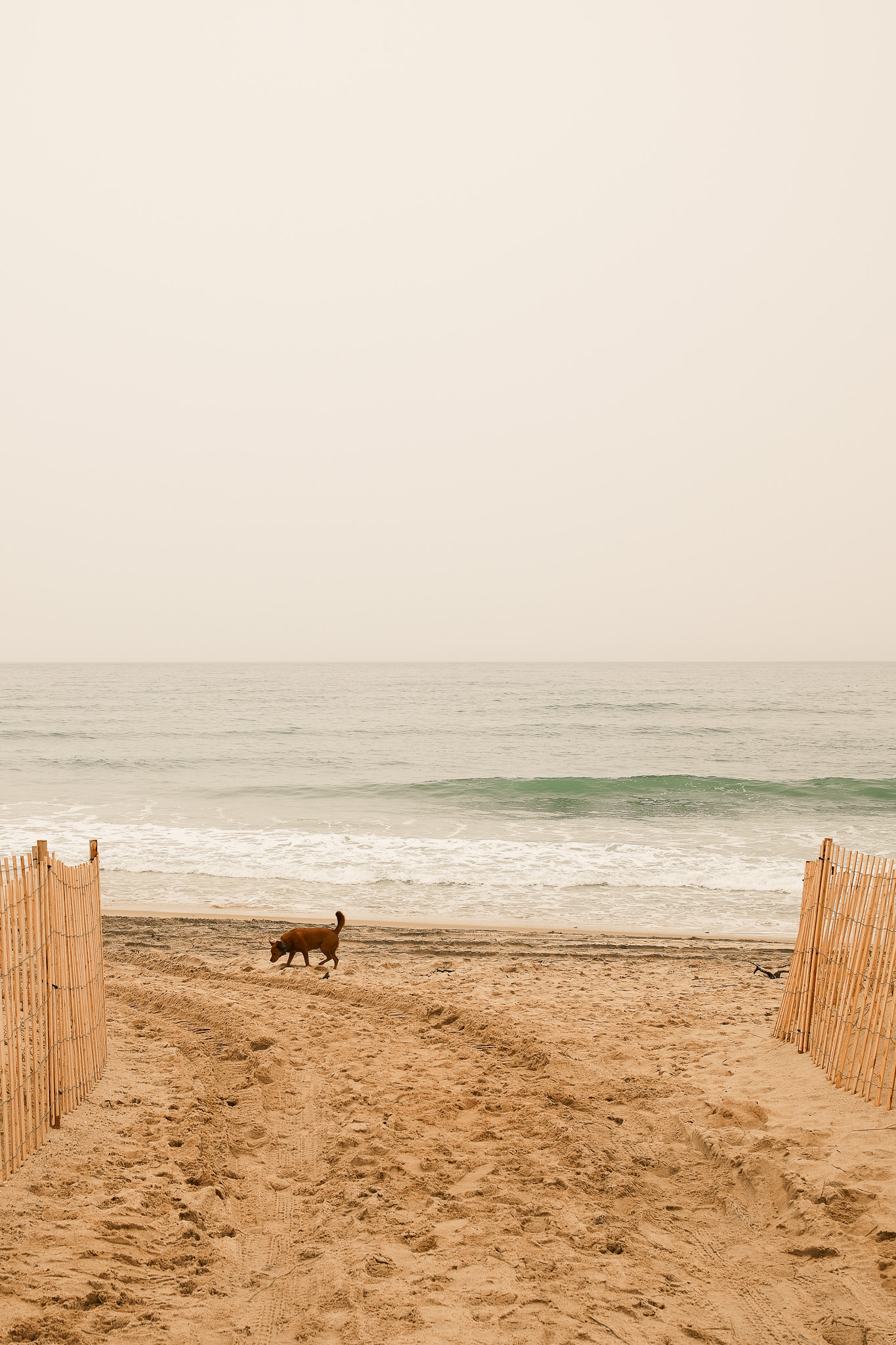 Out East by christofphr